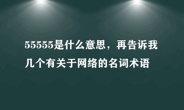 55555是什么意思，再告诉我几个有关于网络的名词术语