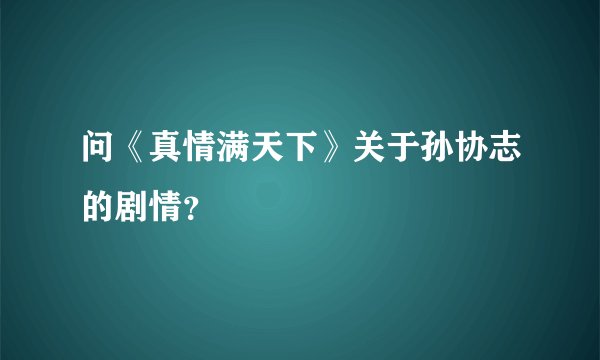 问《真情满天下》关于孙协志的剧情？