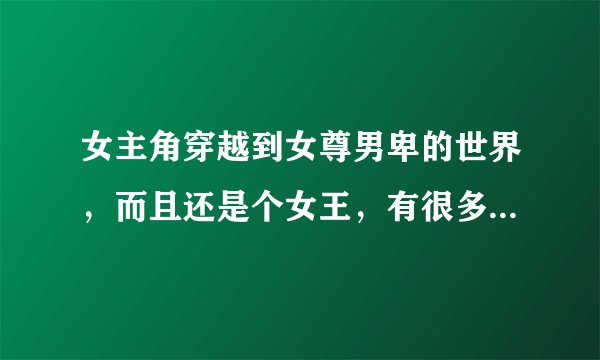 女主角穿越到女尊男卑的世界，而且还是个女王，有很多男人的那种小说。