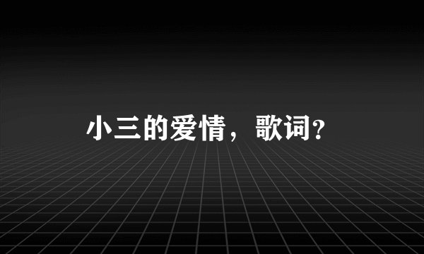 小三的爱情，歌词？