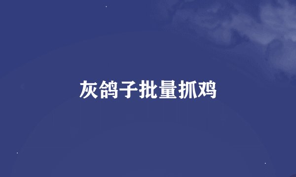 灰鸽子批量抓鸡