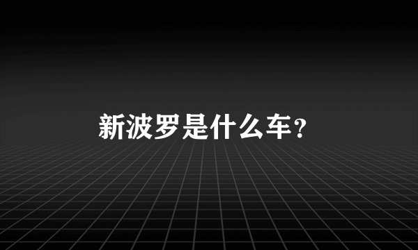 新波罗是什么车？