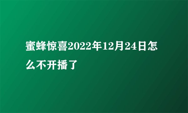 蜜蜂惊喜2022年12月24日怎么不开播了