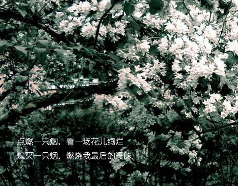 2010求立春的具体时间??