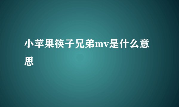 小苹果筷子兄弟mv是什么意思