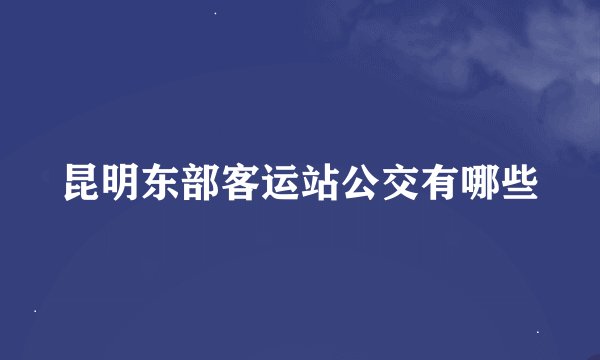 昆明东部客运站公交有哪些