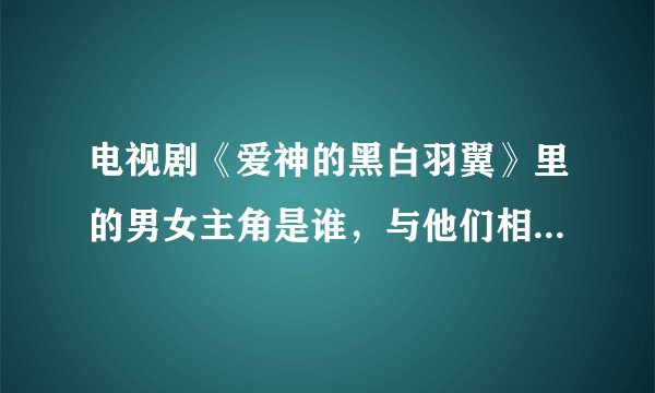 电视剧《爱神的黑白羽翼》里的男女主角是谁，与他们相关的资料