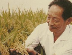 长沙上千群众夹道送别袁隆平院士，他为何值得万民爱戴？