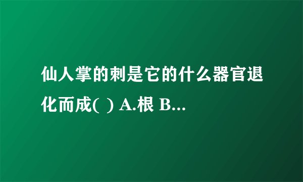 仙人掌的刺是它的什么器官退化而成( ) A.根 B.茎 C.叶 D.