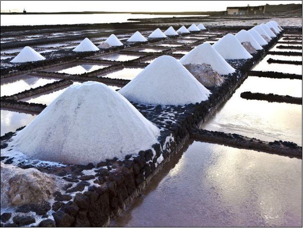 中国的盐矿在哪里