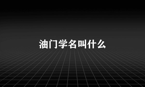 油门学名叫什么