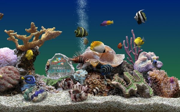 水族箱热带鱼屏保的介绍