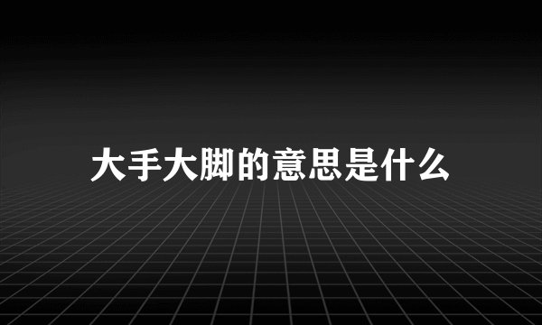 大手大脚的意思是什么