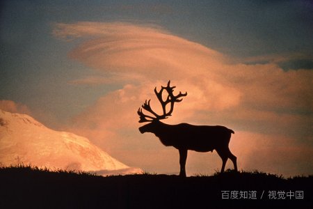 分手怎么说比较好句子