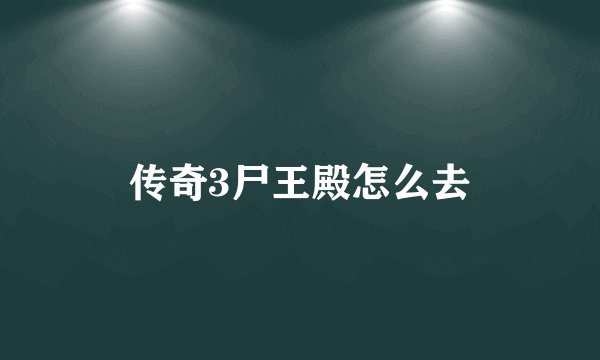 传奇3尸王殿怎么去