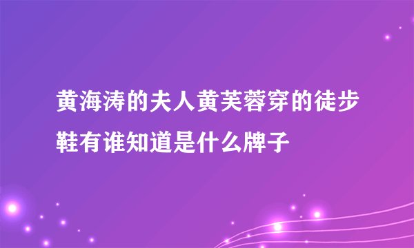 黄海涛的夫人黄芙蓉穿的徒步鞋有谁知道是什么牌子