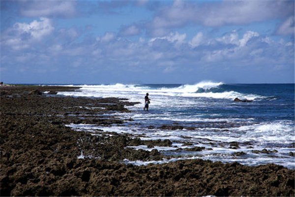 台海南岸线沦为“垃圾海岸”，现象情况如何？