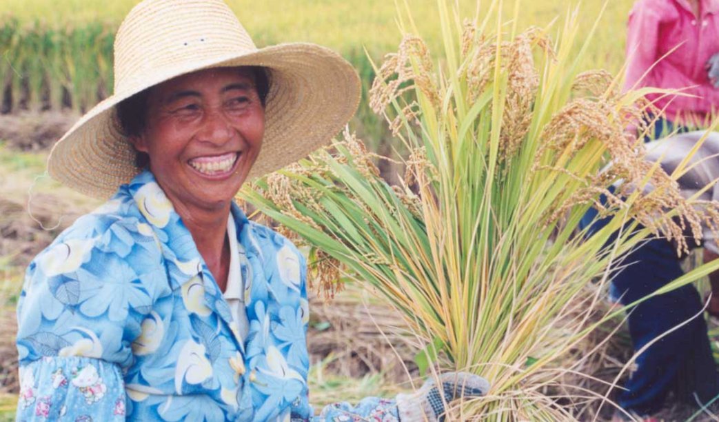 农民取消交公粮在哪年？