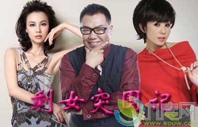 剩女突围记的内容简介