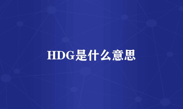 HDG是什么意思