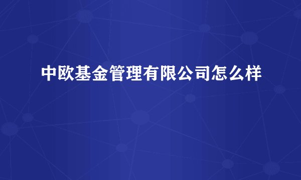 中欧基金管理有限公司怎么样