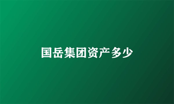 国岳集团资产多少