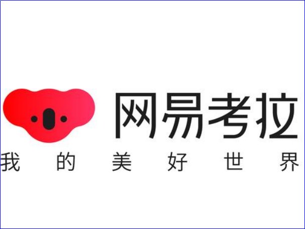 中国十大电商平台有哪些？