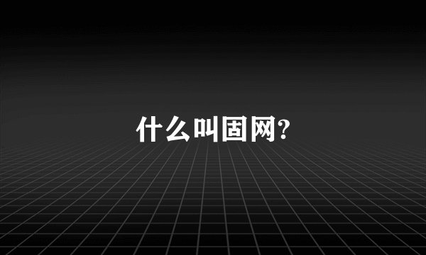 什么叫固网?