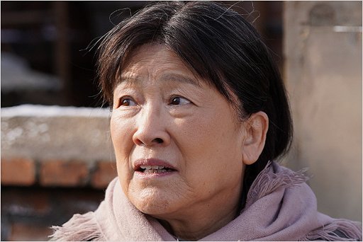 我们的日子共多少集