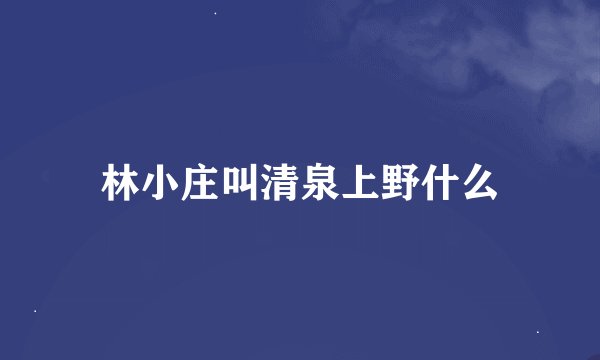林小庄叫清泉上野什么