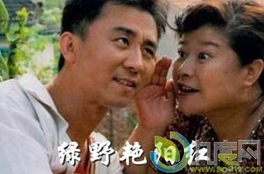 绿野艳阳红的剧情简介