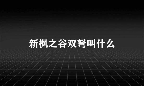 新枫之谷双弩叫什么