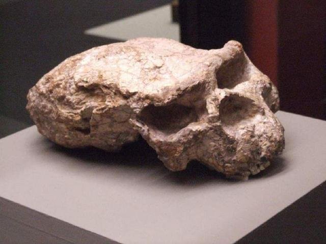 发现16000年前的人骨头化石，这段时间人类都经历了什么？