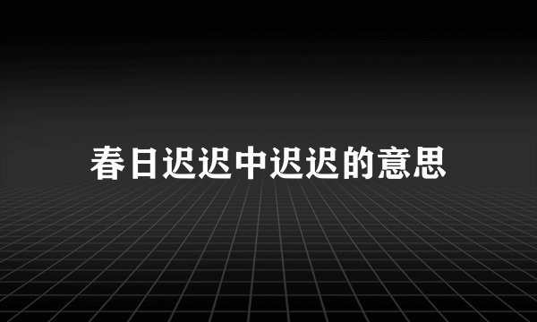 春日迟迟中迟迟的意思