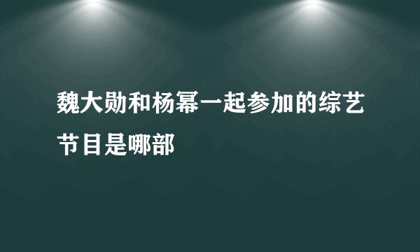 魏大勋和杨幂一起参加的综艺节目是哪部