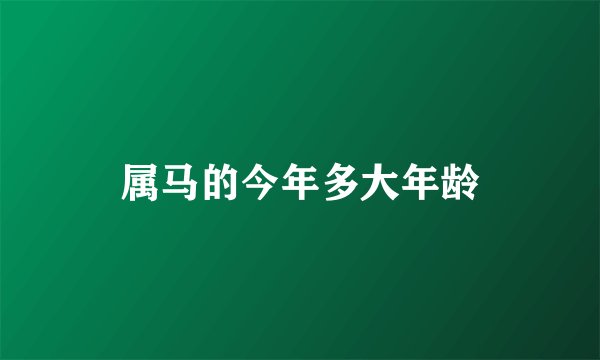属马的今年多大年龄