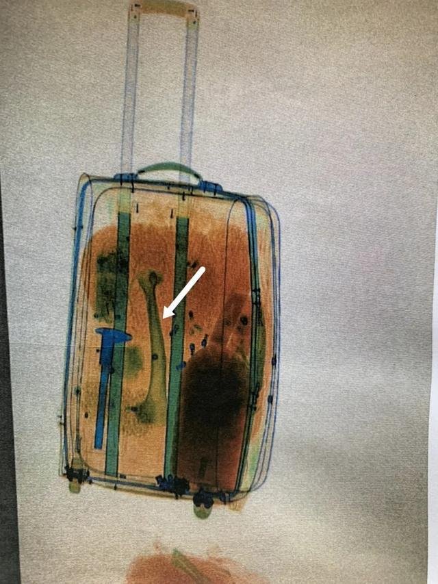 东北男子国外打工捡到虎骨，带回国泡酒，为何竟被判刑五年？