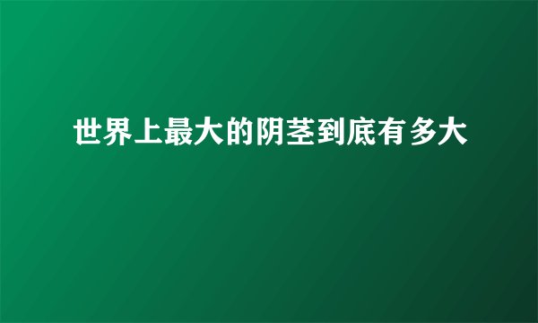 世界上最大的阴茎到底有多大