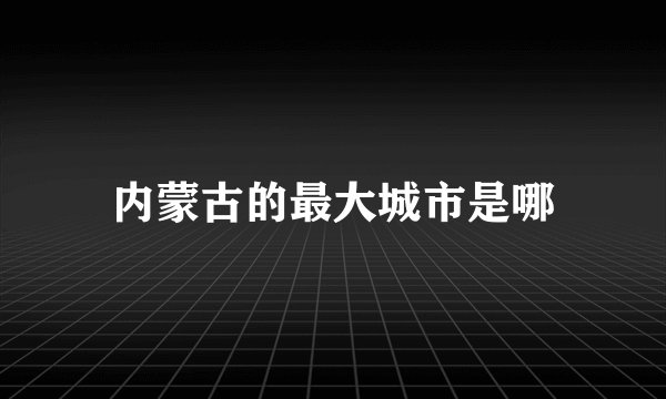 内蒙古的最大城市是哪