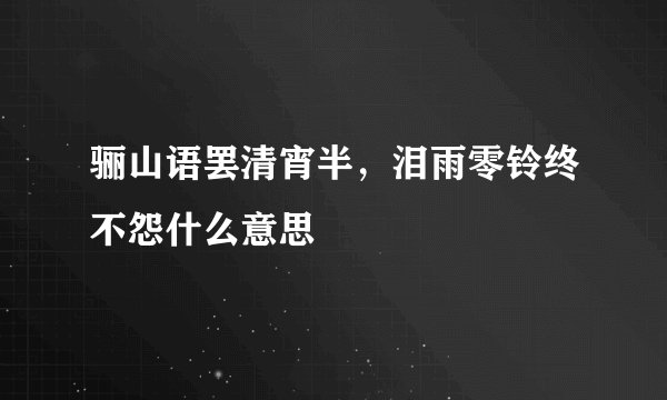 骊山语罢清宵半，泪雨零铃终不怨什么意思