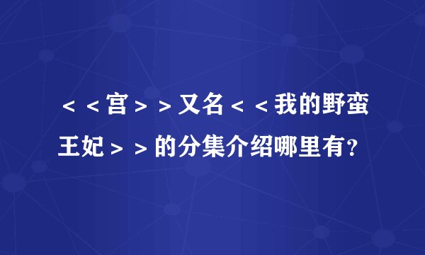 ＜＜宫＞＞又名＜＜我的野蛮王妃＞＞的分集介绍哪里有？