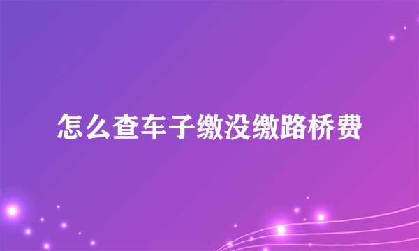 怎么查车子缴没缴路桥费