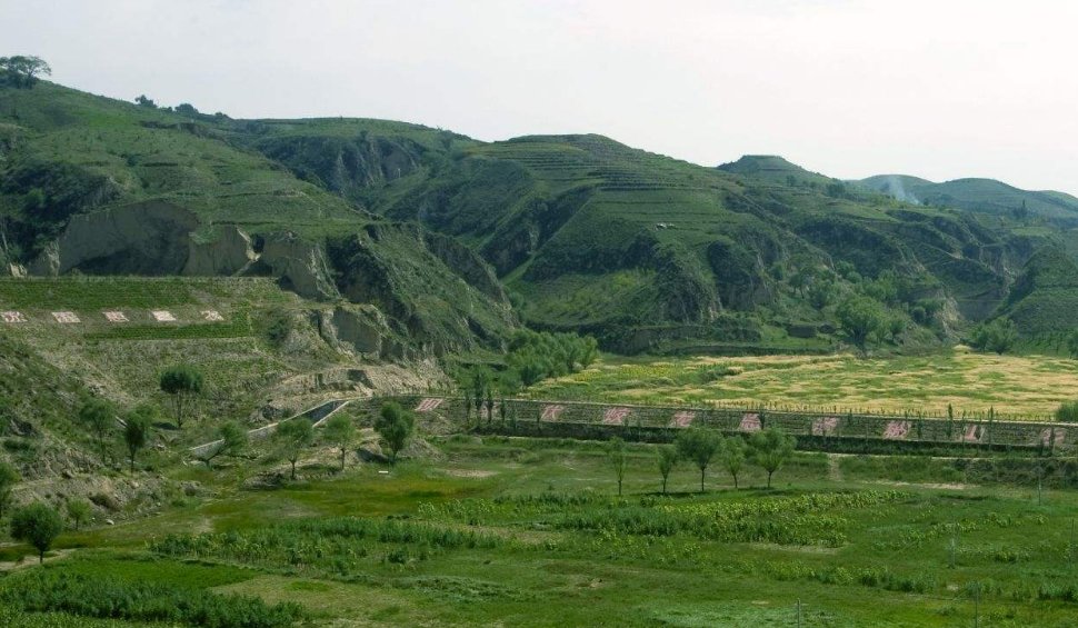 坪坝这个词的含义是什么？