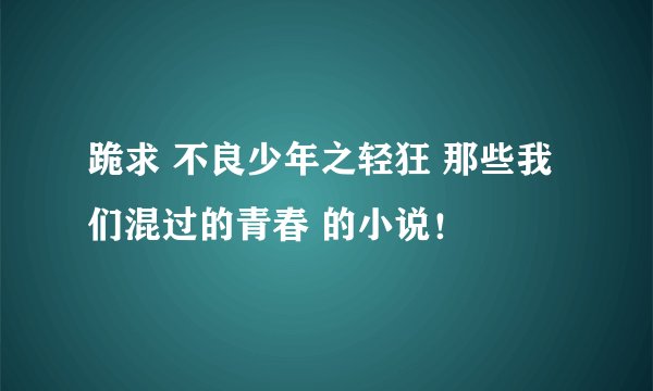 跪求 不良少年之轻狂 那些我们混过的青春 的小说！