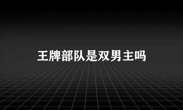 王牌部队是双男主吗