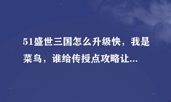 51盛世三国怎么升级快，我是菜鸟，谁给传授点攻略让我成为高手