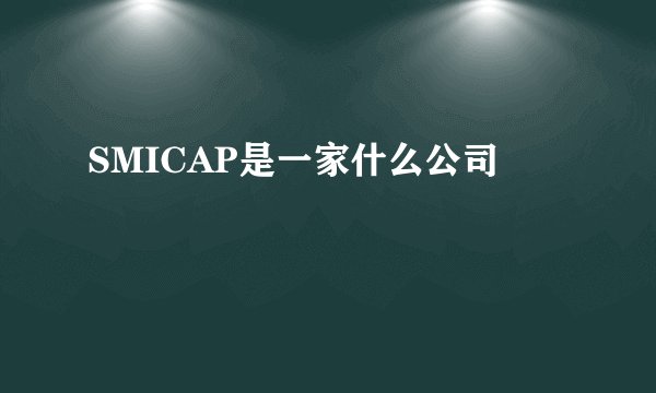 SMICAP是一家什么公司