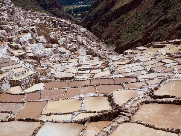 中国的盐矿在哪里