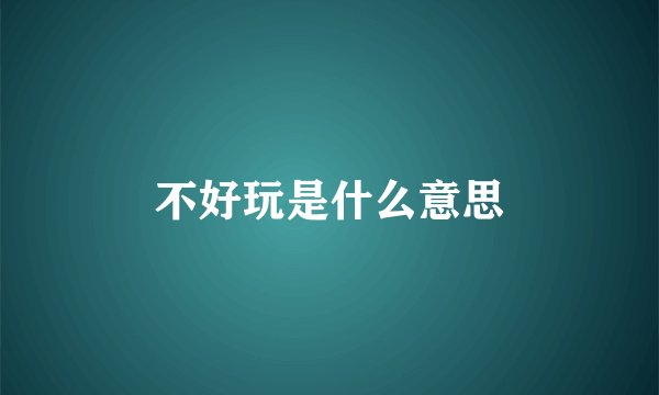 不好玩是什么意思