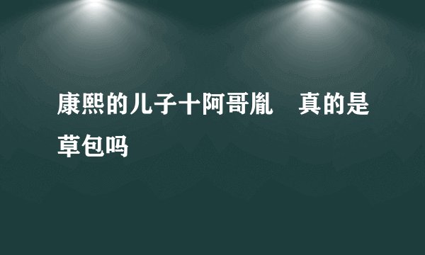 康熙的儿子十阿哥胤誐真的是草包吗